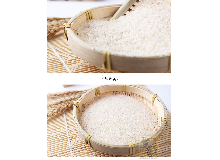罗定稻米  聚龙煲粥米2.5kg5斤大包装粥米  绿色食品